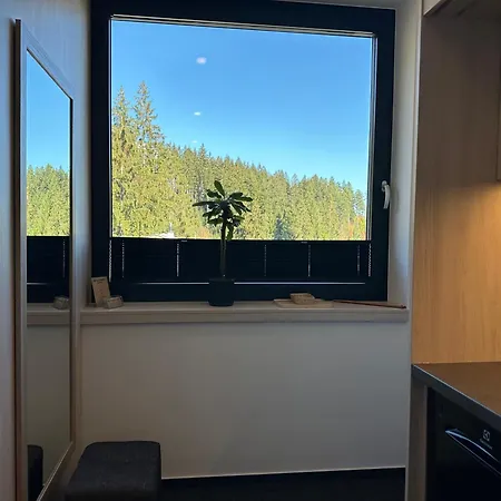 A29-2, Hrabovo, روجومبيروك